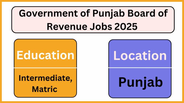 Government of Punjab Board of Revenue Jobs 2025