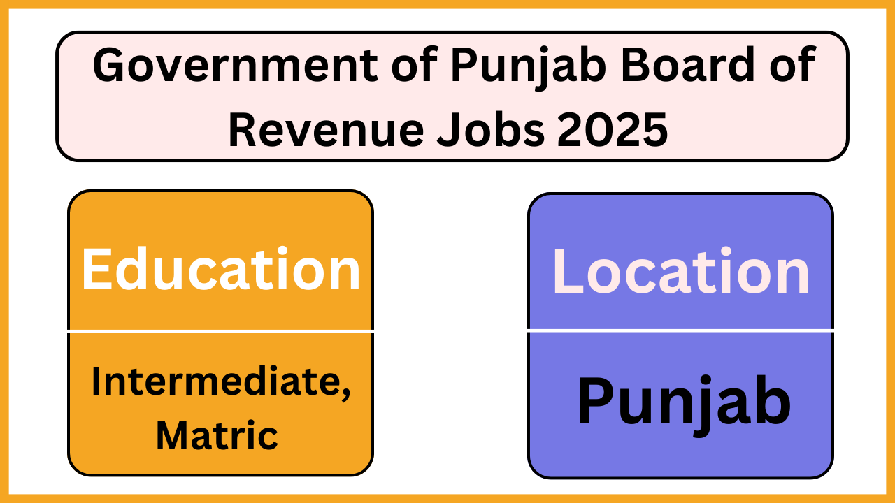 Government of Punjab Board of Revenue Jobs 2025